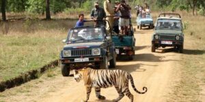 Best National Parks for a Family Adventure