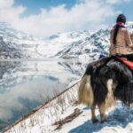 Best Winter Vacation Destinations for Families