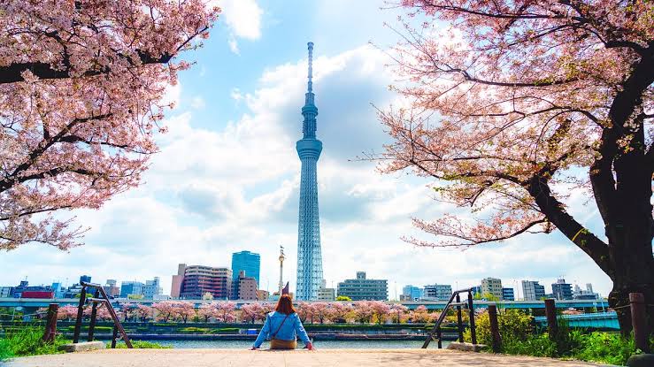 How to Explore Tokyo in a Few Days