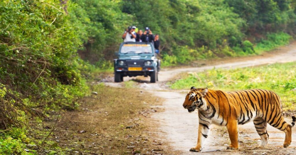 National Parks to Visit for Nature and Wildlife