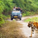National Parks to Visit for Nature and Wildlife
