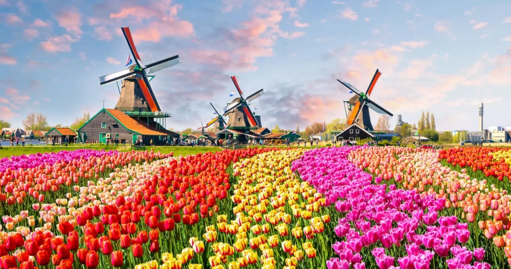 Netherlands